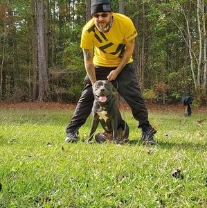 Meet your Posher, Robbie